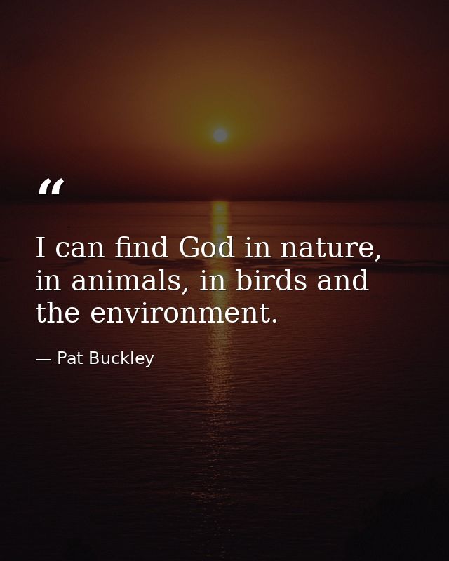 I can find God in nature, in animals, in birds and the environment. — Pat Buckley
