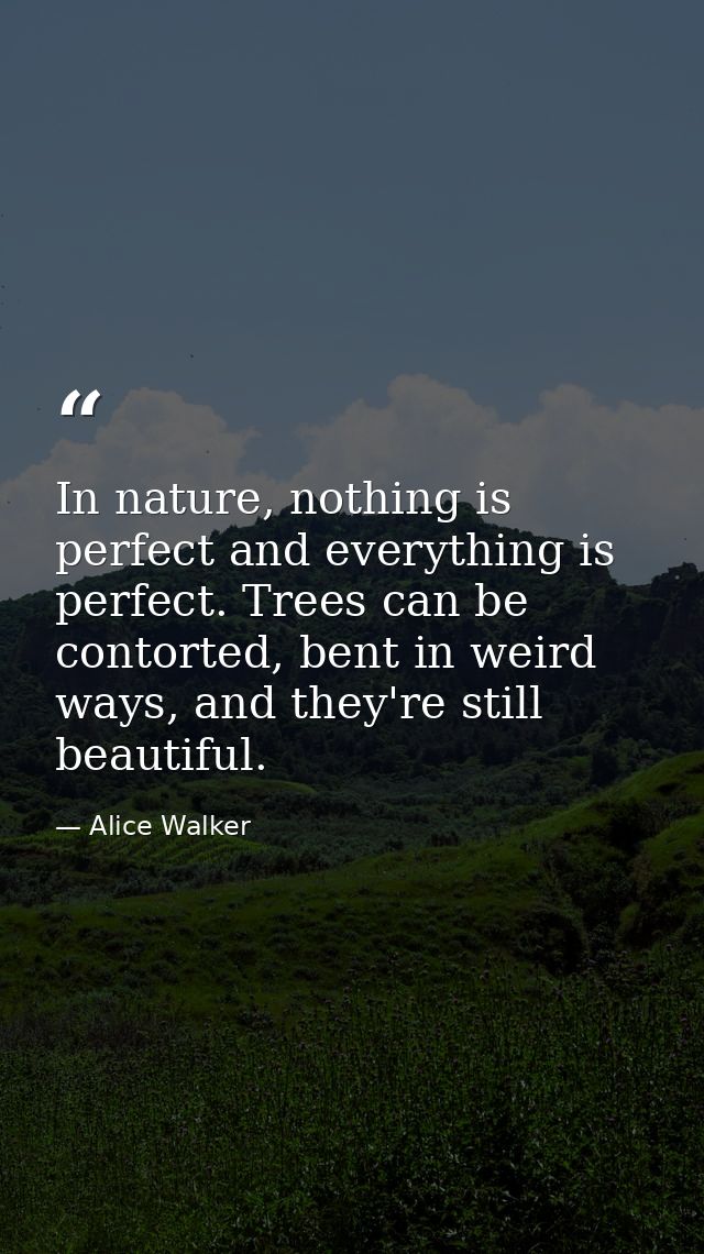 In nature, nothing is perfect and everything is perfect. Trees can be contorted, bent in weird ways, and they're still b — Alice Walker