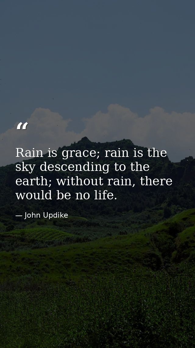 Rain is grace; rain is the sky descending to the earth; without rain, there would be no life. — John Updike