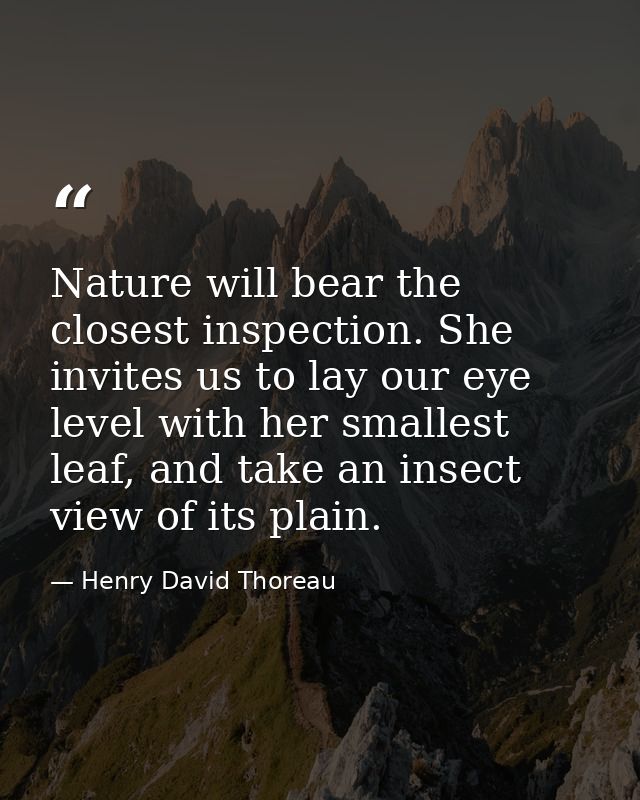 Nature will bear the closest inspection. She invites us to lay our eye level with her smallest leaf, and take an insect  — Henry David Thoreau