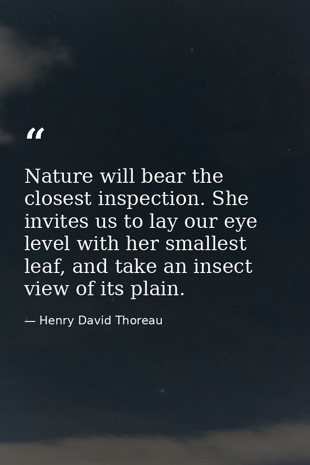 Nature will bear the closest inspection. She invites us to lay our eye level with her smallest leaf, and take an insect  — Henry David Thoreau