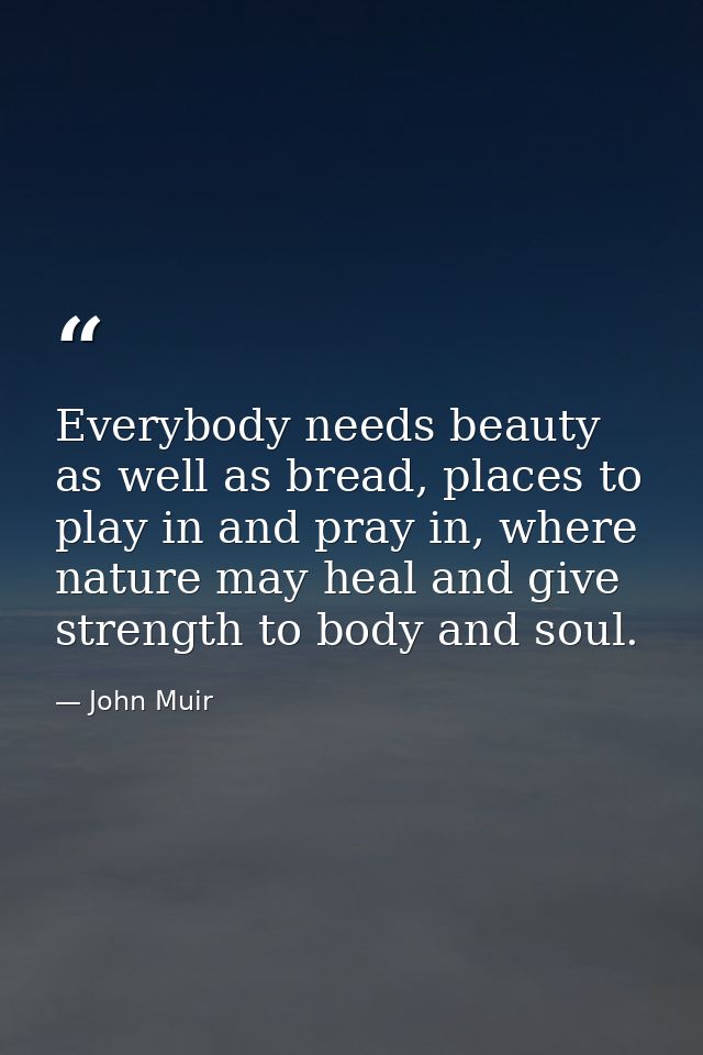 Everybody needs beauty as well as bread, places to play in and pray in, where nature may heal and give strength to body  — John Muir