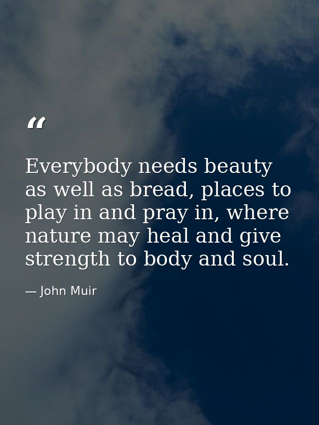Everybody needs beauty as well as bread, places to play in and pray in, where nature may heal and give strength to body  — John Muir