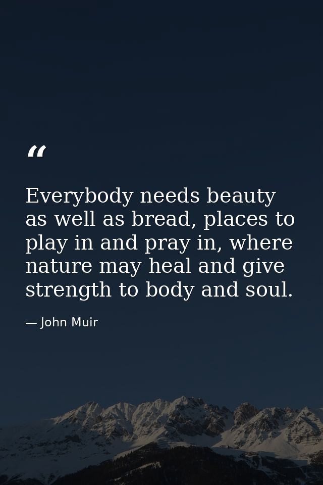 Everybody needs beauty as well as bread, places to play in and pray in, where nature may heal and give strength to body  — John Muir