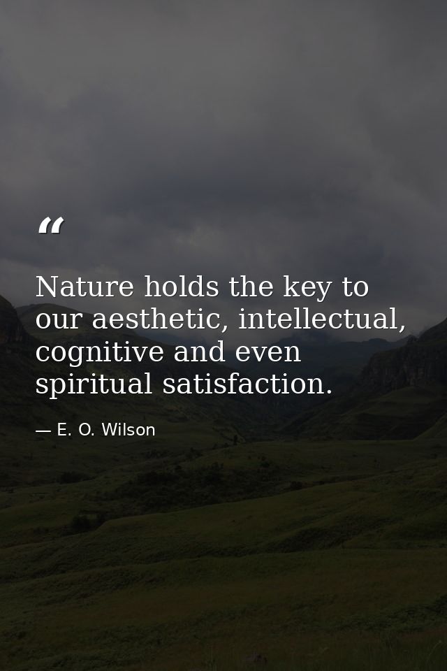 Nature holds the key to our aesthetic, intellectual, cognitive and even spiritual satisfaction. — E. O. Wilson