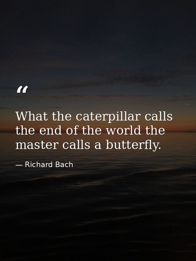 What the caterpillar calls the end of the world the master calls a butterfly. — Richard Bach