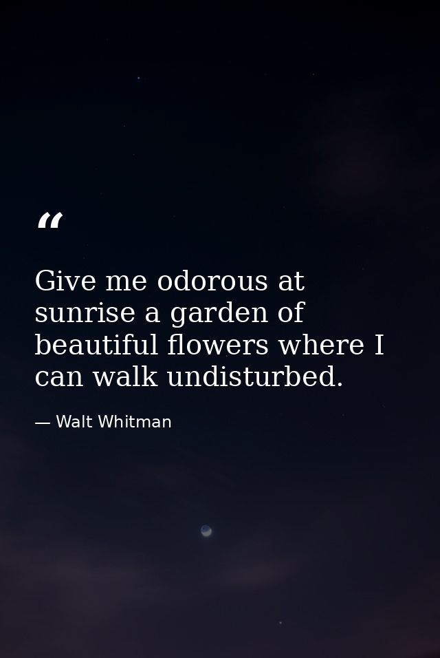 Give me odorous at sunrise a garden of beautiful flowers where I can walk undisturbed. — Walt Whitman