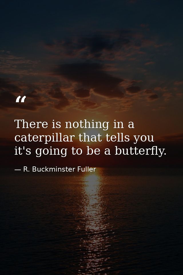 There is nothing in a caterpillar that tells you it's going to be a butterfly. — R. Buckminster Fuller