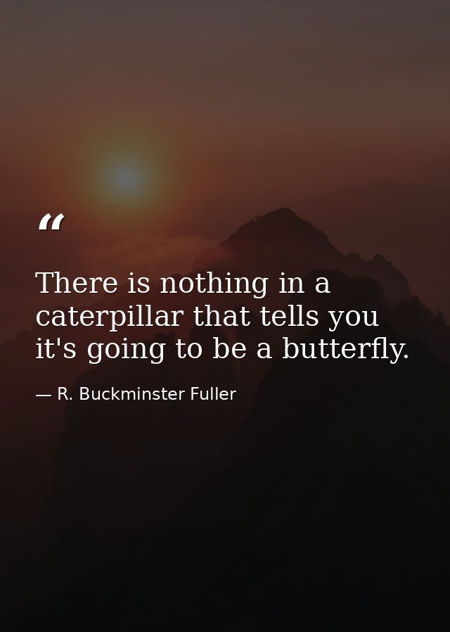 There is nothing in a caterpillar that tells you it's going to be a butterfly. — R. Buckminster Fuller