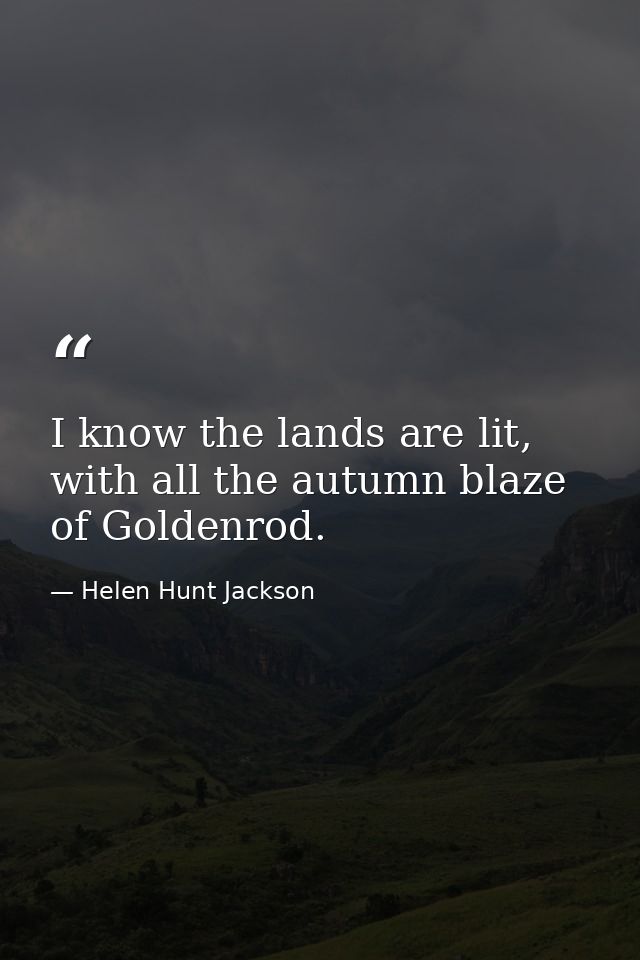I know the lands are lit, with all the autumn blaze of Goldenrod. — Helen Hunt Jackson