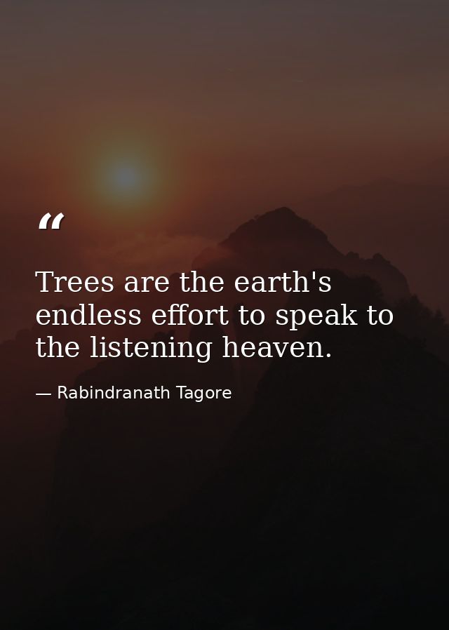 Trees are the earth's endless effort to speak to the listening heaven. — Rabindranath Tagore