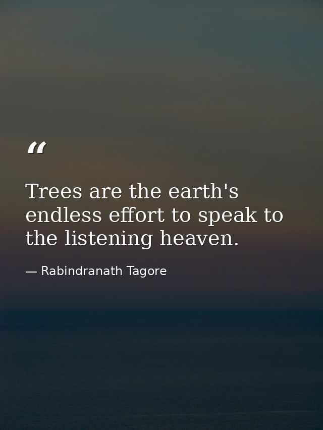 Trees are the earth's endless effort to speak to the listening heaven. — Rabindranath Tagore
