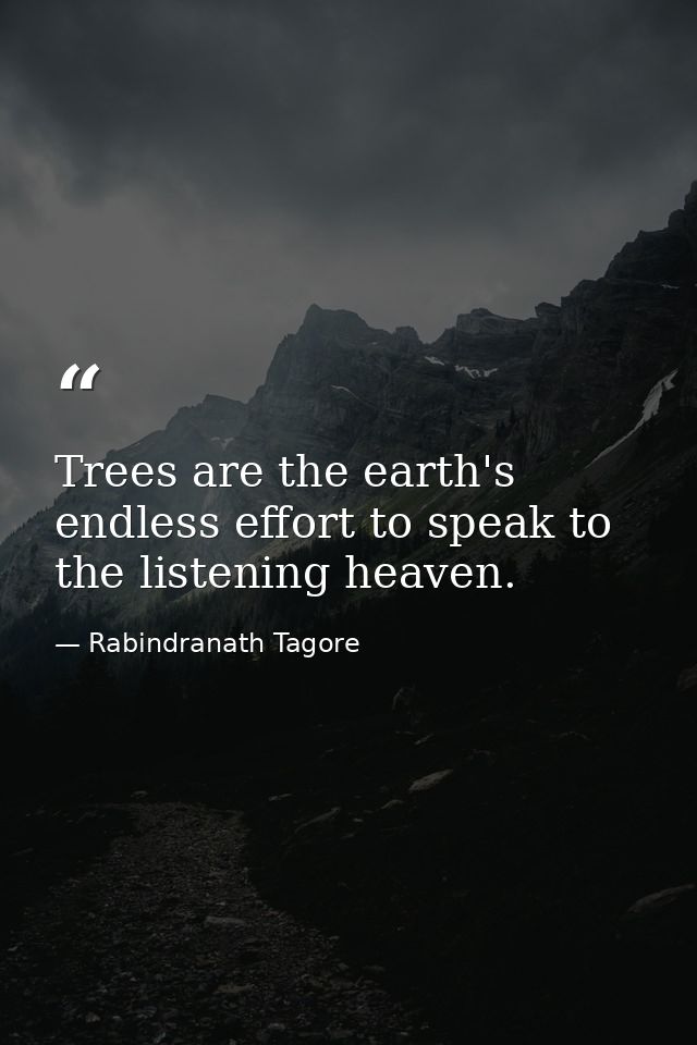 Trees are the earth's endless effort to speak to the listening heaven. — Rabindranath Tagore