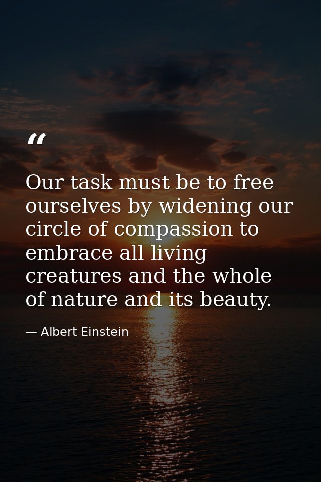 Our task must be to free ourselves by widening our circle of compassion to embrace all living creatures and the whole of — Albert Einstein