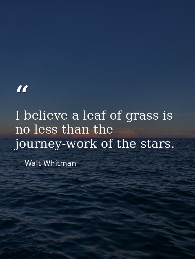 I believe a leaf of grass is no less than the journey-work of the stars. — Walt Whitman