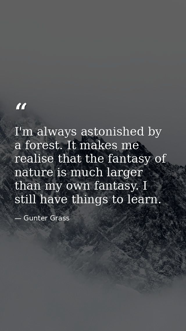 I'm always astonished by a forest. It makes me realise that the fantasy of nature is much larger than my own fantasy. I  — Gunter Grass