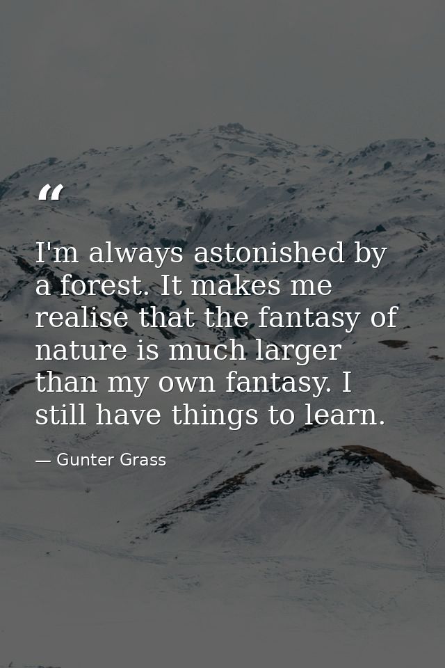 I'm always astonished by a forest. It makes me realise that the fantasy of nature is much larger than my own fantasy. I  — Gunter Grass