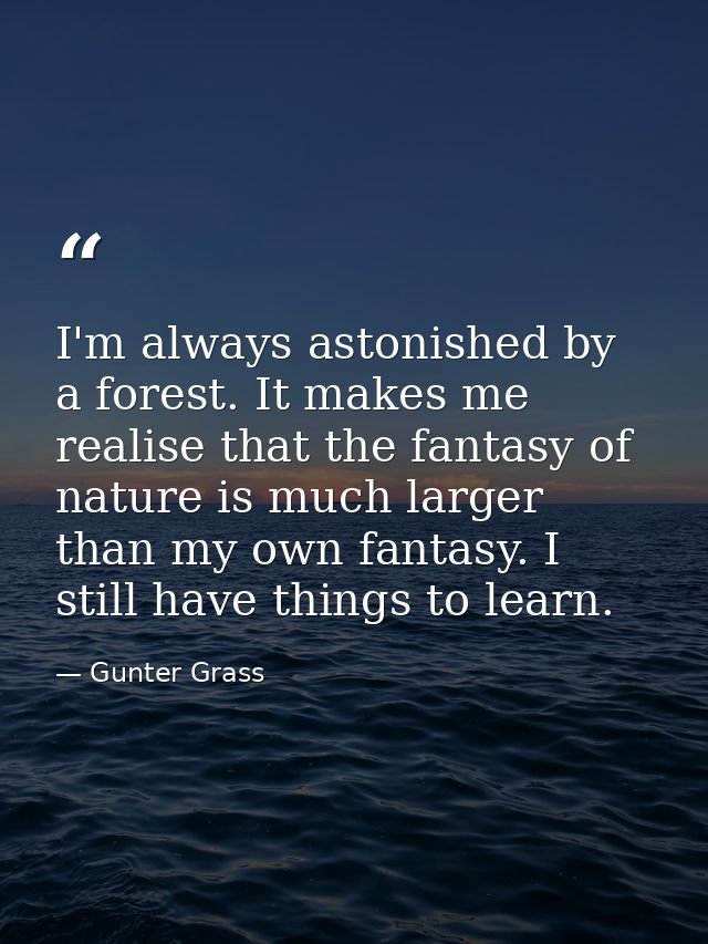 I'm always astonished by a forest. It makes me realise that the fantasy of nature is much larger than my own fantasy. I  — Gunter Grass