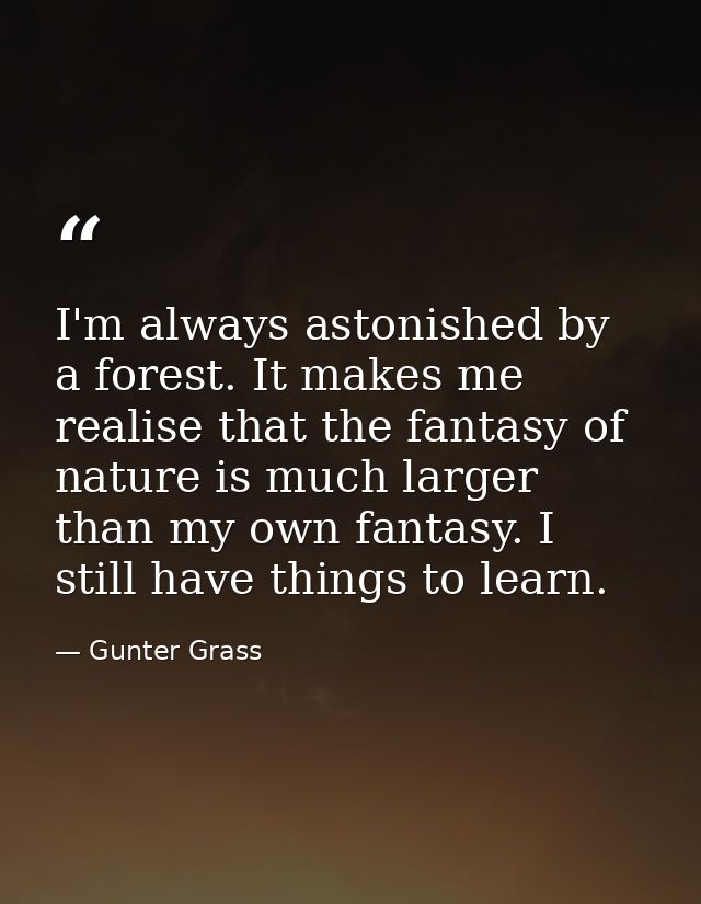 I'm always astonished by a forest. It makes me realise that the fantasy of nature is much larger than my own fantasy. I  — Gunter Grass