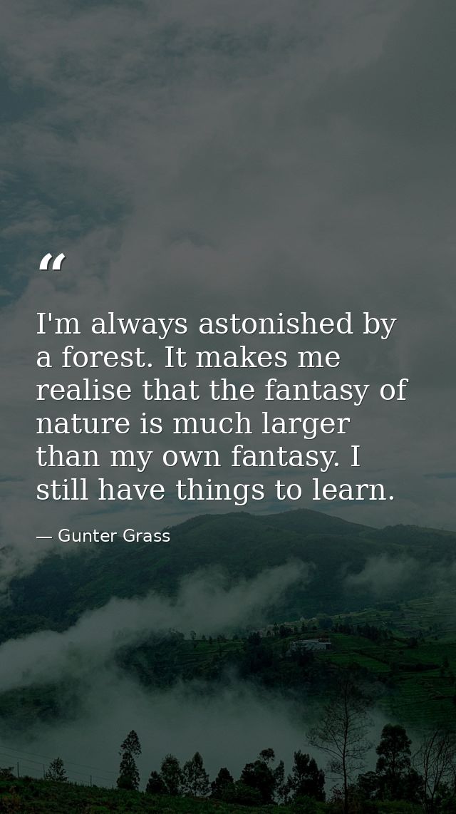 I'm always astonished by a forest. It makes me realise that the fantasy of nature is much larger than my own fantasy. I  — Gunter Grass