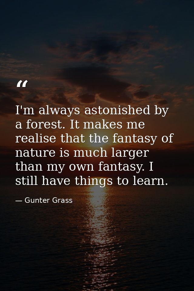 I'm always astonished by a forest. It makes me realise that the fantasy of nature is much larger than my own fantasy. I  — Gunter Grass