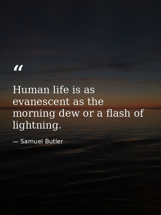 Human life is as evanescent as the morning dew or a flash of lightning. — Samuel Butler