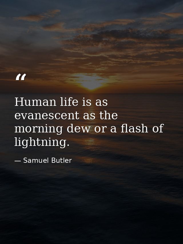 Human life is as evanescent as the morning dew or a flash of lightning. — Samuel Butler