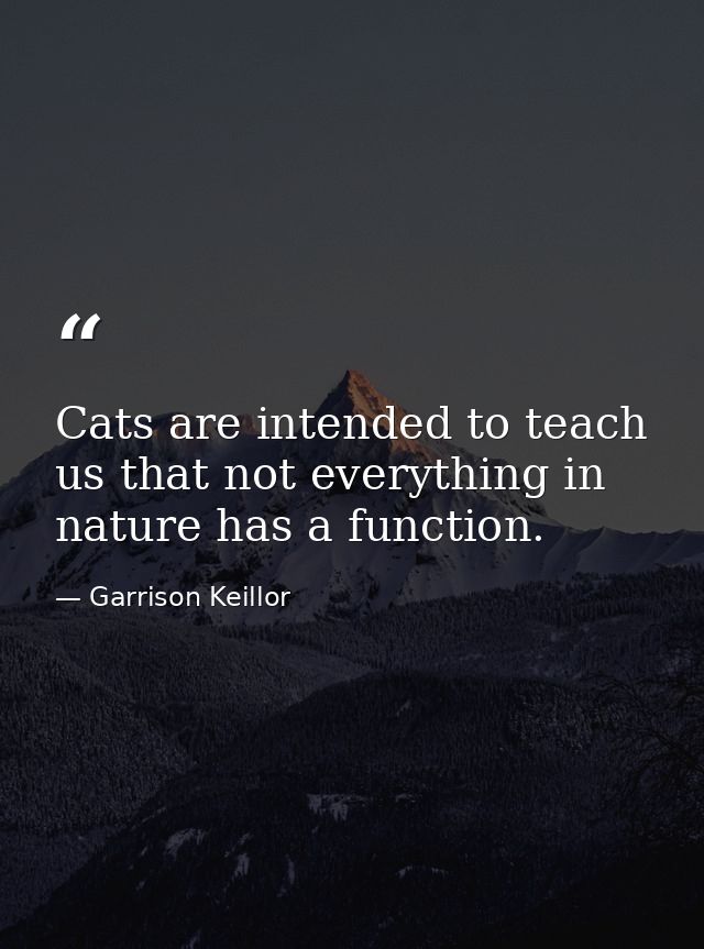 Cats are intended to teach us that not everything in nature has a function. — Garrison Keillor