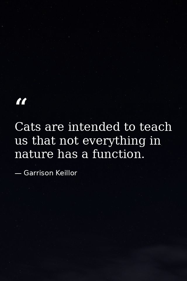 Cats are intended to teach us that not everything in nature has a function. — Garrison Keillor