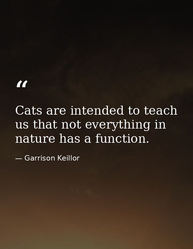 Cats are intended to teach us that not everything in nature has a function. — Garrison Keillor