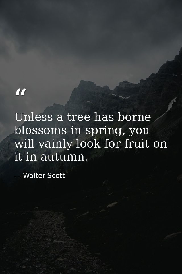 Unless a tree has borne blossoms in spring, you will vainly look for fruit on it in autumn. — Walter Scott