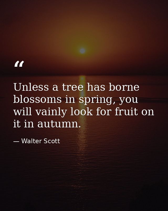Unless a tree has borne blossoms in spring, you will vainly look for fruit on it in autumn. — Walter Scott