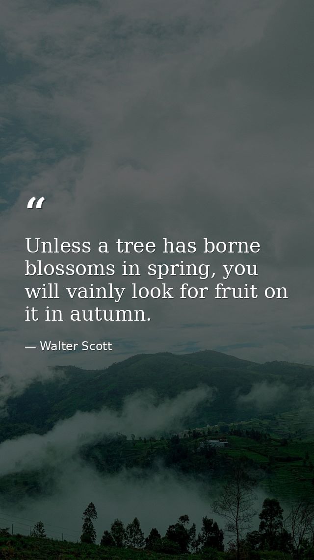 Unless a tree has borne blossoms in spring, you will vainly look for fruit on it in autumn. — Walter Scott