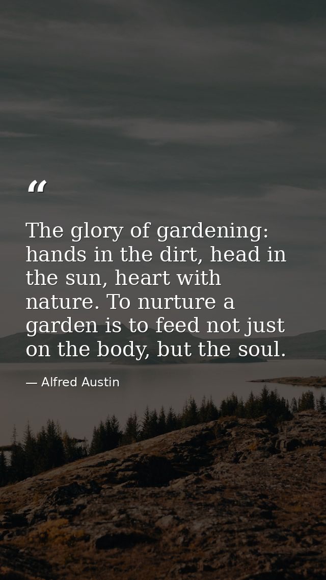 The glory of gardening: hands in the dirt, head in the sun, heart with nature. To nurture a garden is to feed not just o — Alfred Austin
