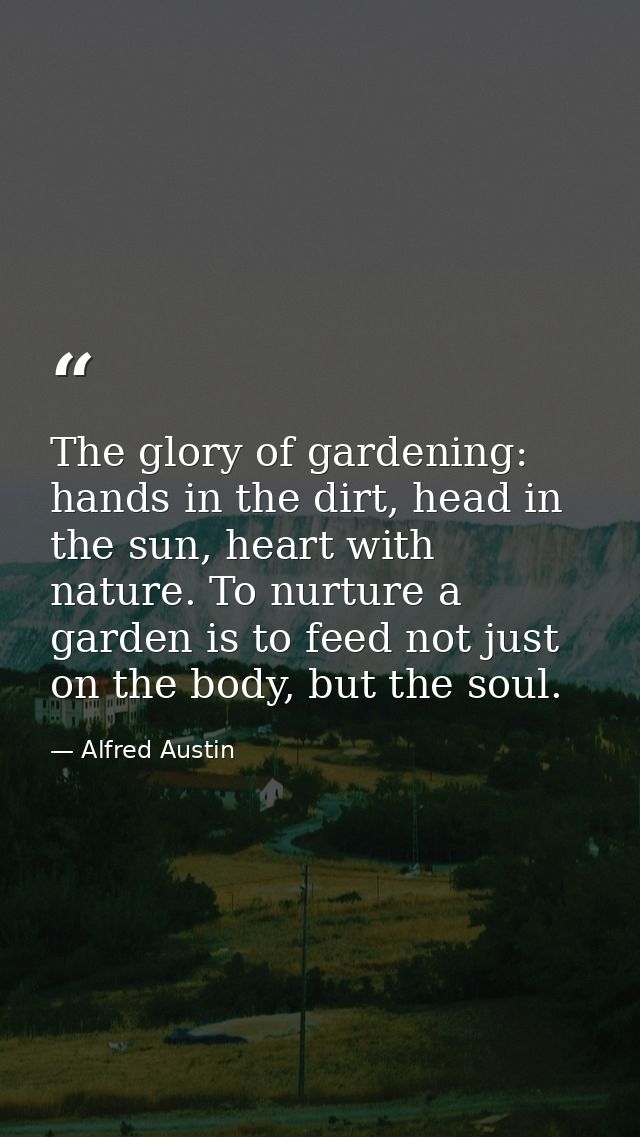 The glory of gardening: hands in the dirt, head in the sun, heart with nature. To nurture a garden is to feed not just o — Alfred Austin