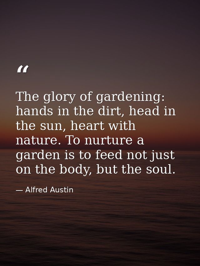 The glory of gardening: hands in the dirt, head in the sun, heart with nature. To nurture a garden is to feed not just o — Alfred Austin