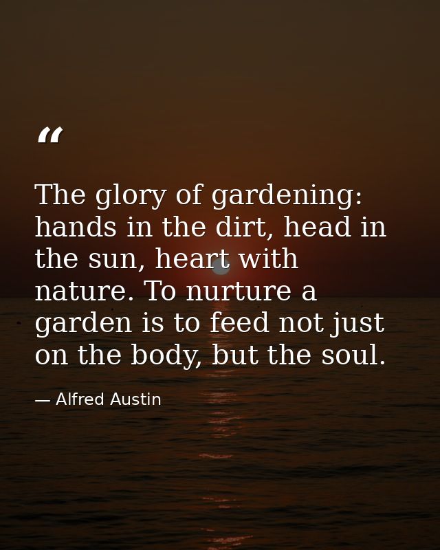 The glory of gardening: hands in the dirt, head in the sun, heart with nature. To nurture a garden is to feed not just o — Alfred Austin