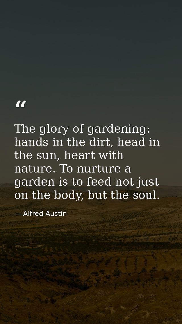 The glory of gardening: hands in the dirt, head in the sun, heart with nature. To nurture a garden is to feed not just o — Alfred Austin