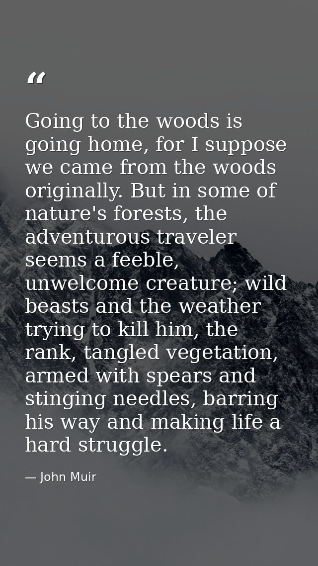 Going to the woods is going home, for I suppose we came from the woods originally. But in some of nature's forests, the  — John Muir