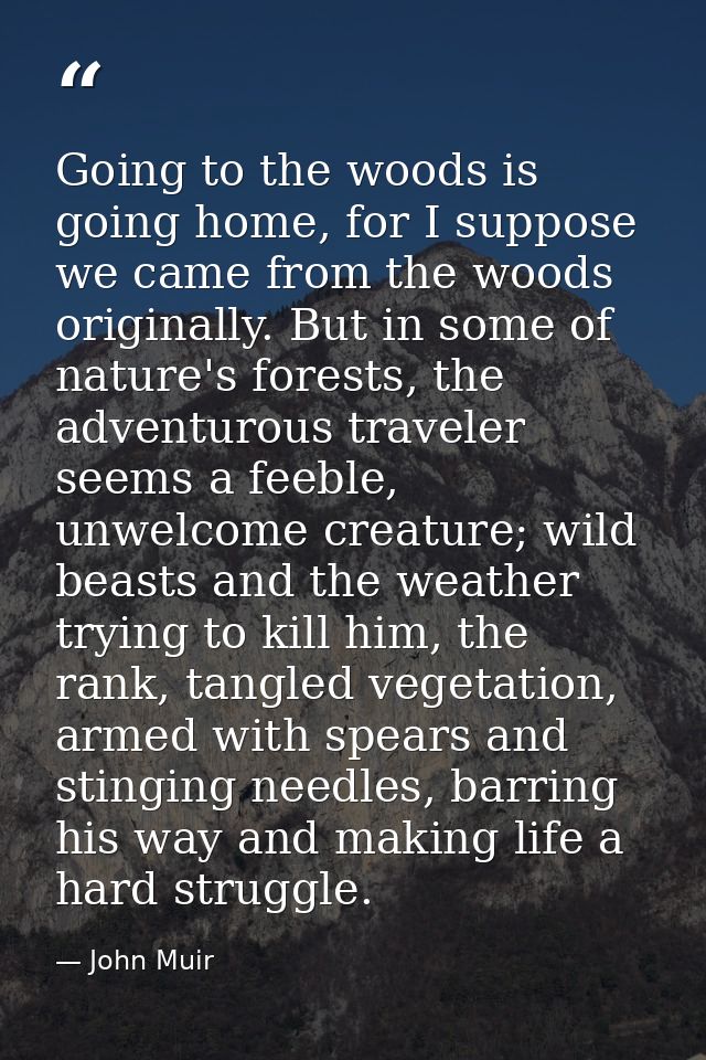 Going to the woods is going home, for I suppose we came from the woods originally. But in some of nature's forests, the  — John Muir