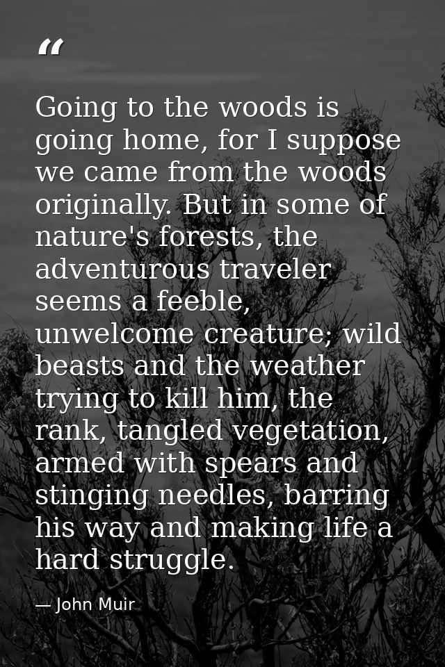 Going to the woods is going home, for I suppose we came from the woods originally. But in some of nature's forests, the  — John Muir
