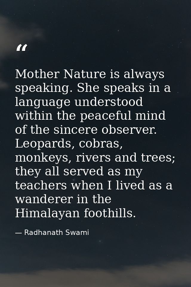 Mother Nature is always speaking. She speaks in a language understood within the peaceful mind of the sincere observer.  — Radhanath Swami