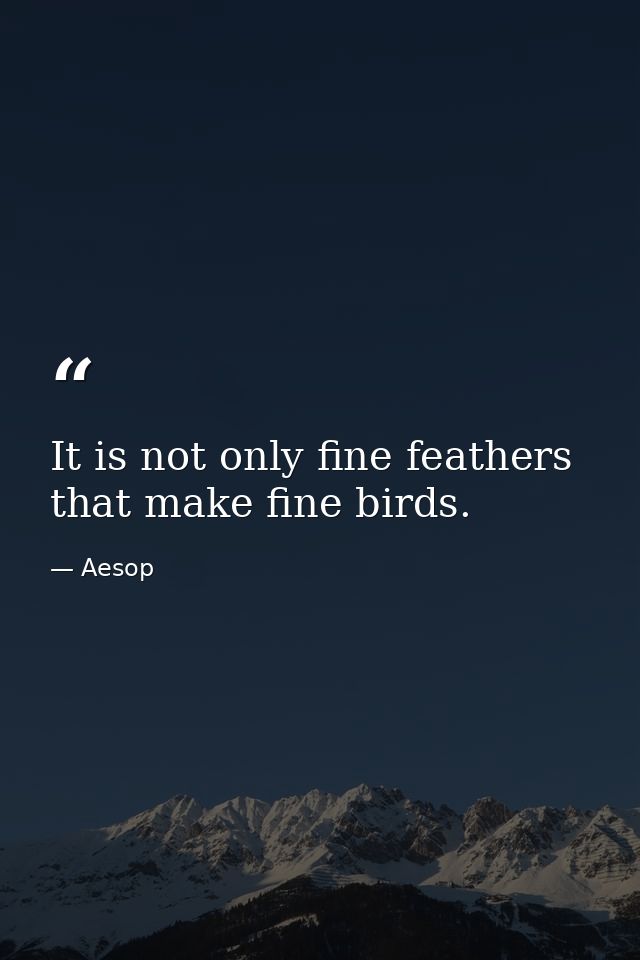 It is not only fine feathers that make fine birds. — Aesop