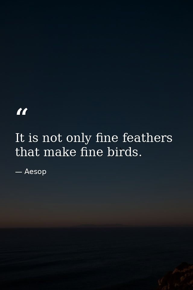 It is not only fine feathers that make fine birds. — Aesop