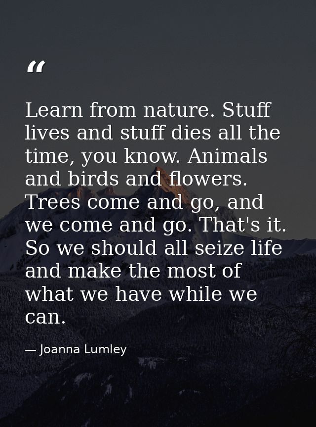 Learn from nature. Stuff lives and stuff dies all the time, you know. Animals and birds and flowers. Trees come and go,  — Joanna Lumley