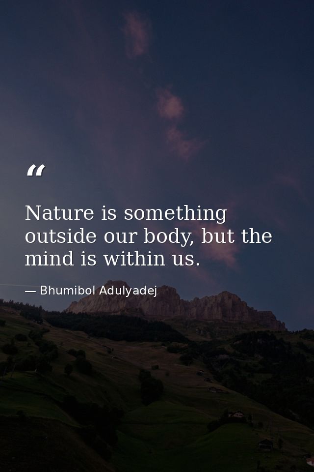 Nature is something outside our body, but the mind is within us. — Bhumibol Adulyadej