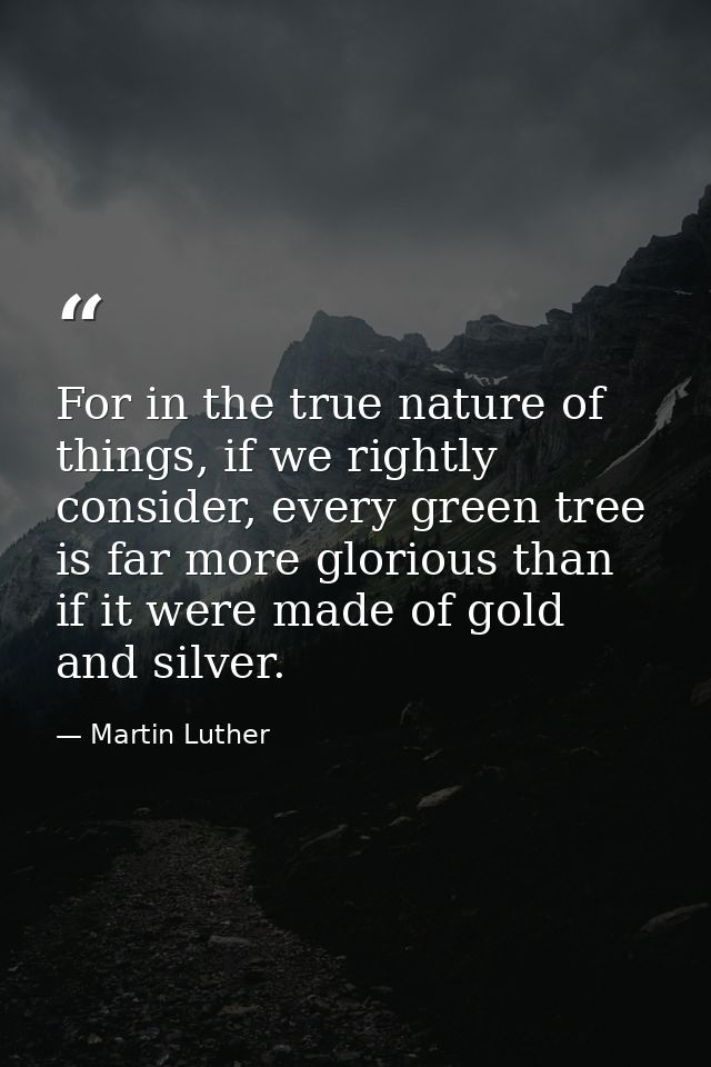 For in the true nature of things, if we rightly consider, every green tree is far more glorious than if it were made of  — Martin Luther