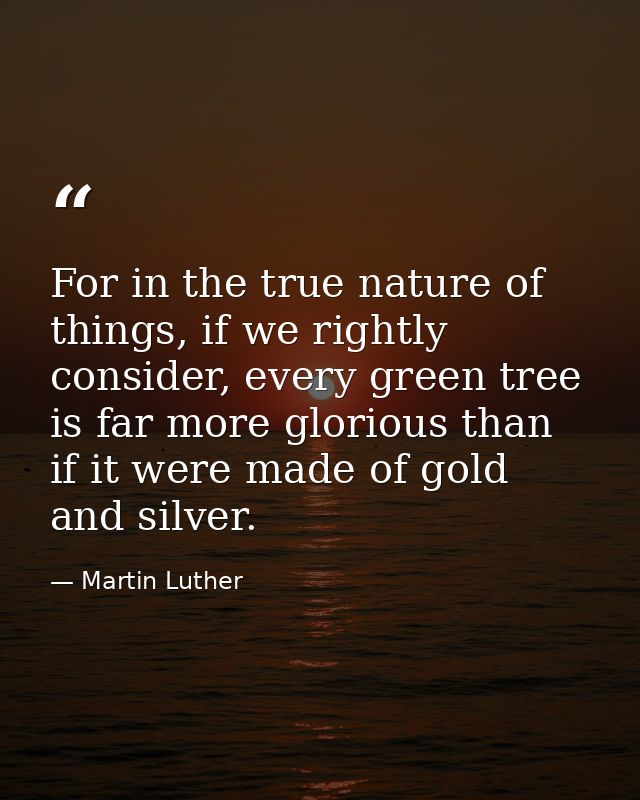 For in the true nature of things, if we rightly consider, every green tree is far more glorious than if it were made of  — Martin Luther