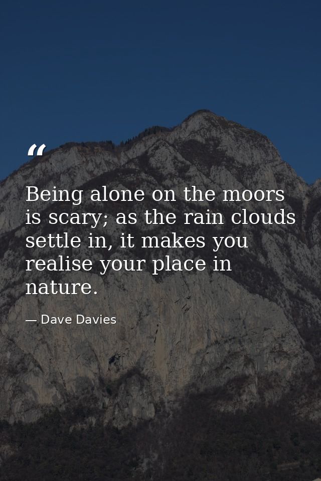 Being alone on the moors is scary; as the rain clouds settle in, it makes you realise your place in nature. — Dave Davies