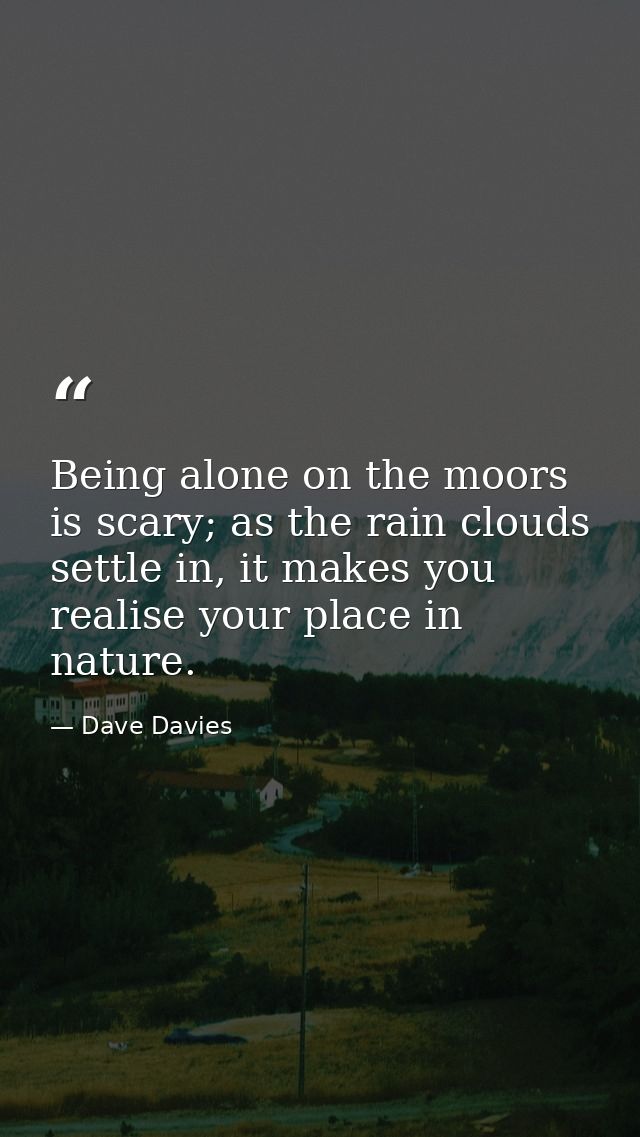 Being alone on the moors is scary; as the rain clouds settle in, it makes you realise your place in nature. — Dave Davies